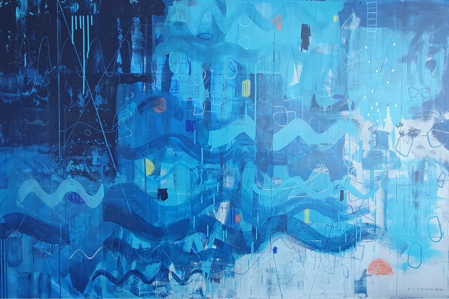 Coral Reef